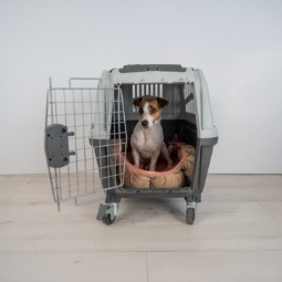 Category image: Pet Carrier & Crate Accessories